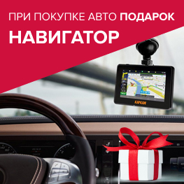 Полный бак бензина