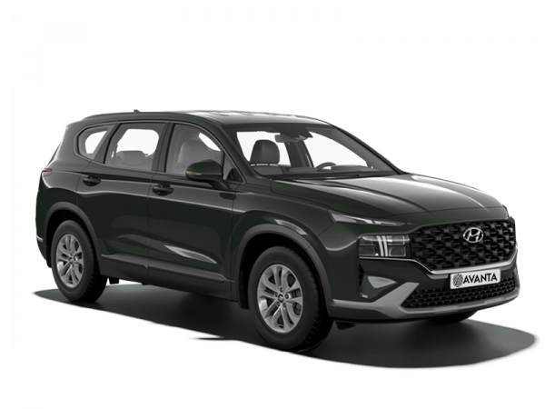 Hyundai Santa Fe Rain Forest