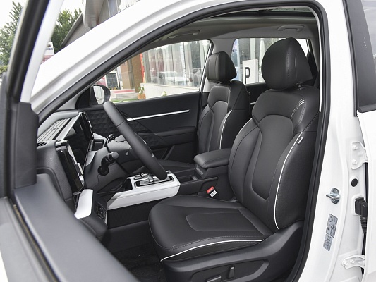 Hyundai Mufasa DLX 2.0 AT White