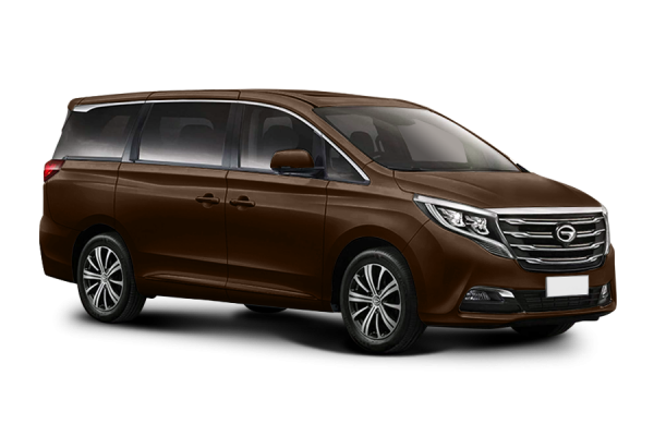 GAC GN8 Коричневый