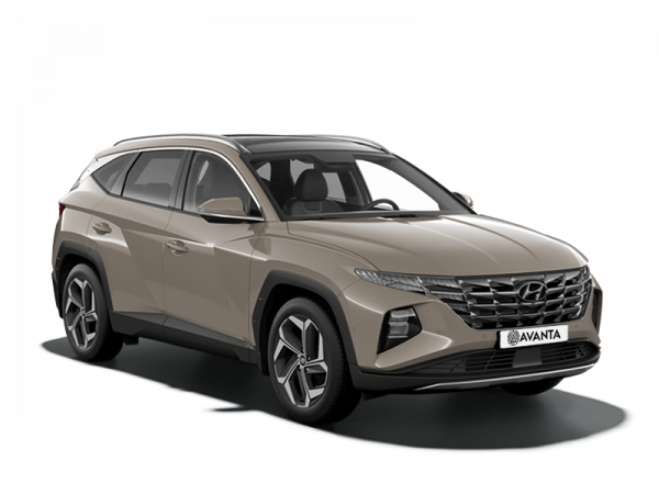 Hyundai Tucson Family + Advanced 2.0 MT